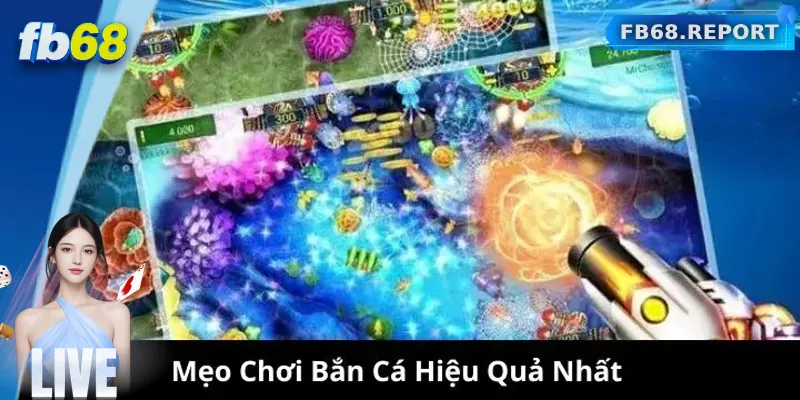 Mẹo chơi bắn cá an toàn nhưng hiệu quả