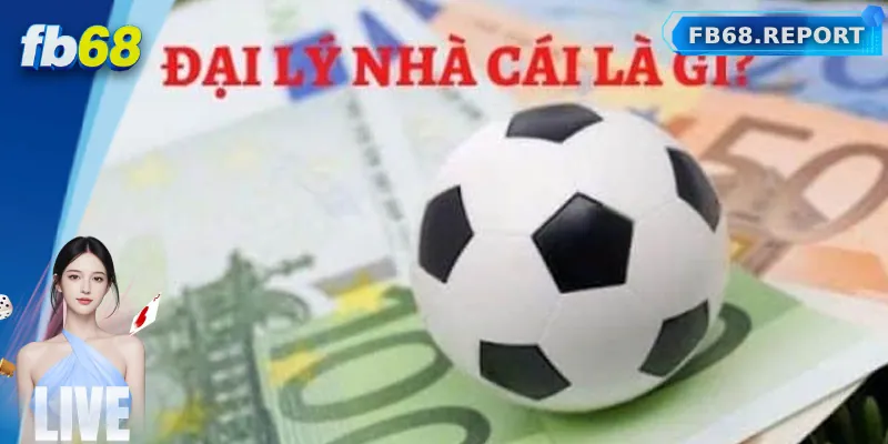 Tổng quan về đại lý FB68