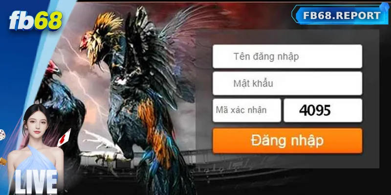 Tổng quan về đăng nhập FB68